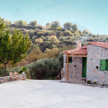 Villa Elia Lambini Exterior photo