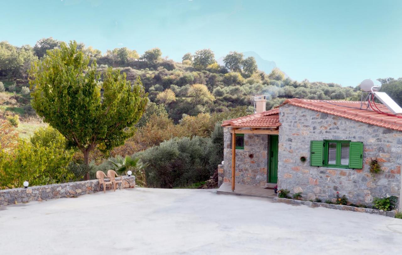 Villa Elia Lambini Exterior photo